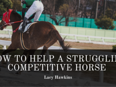 How To Help A Struggling Competitive Horse